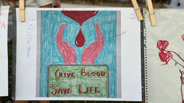 pagosmia_hmera_2025_4